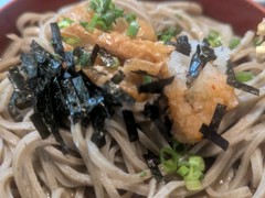 献上そば　羽根屋本店