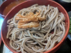 献上そば　羽根屋本店