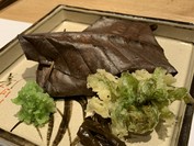 湯涌温泉 湯の出旅館