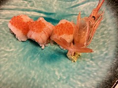 汐まち寿司 つるみ