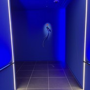 EL DORADO / ホテル イル・パラッツォ