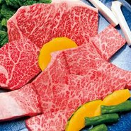 本家　とらちゃん　法善寺横丁店