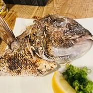 タイのカマ焼き