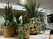モスバーガー ホワイティうめだ店