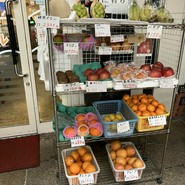 キシャル