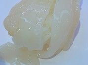 かっぱ寿司 八代店