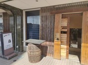 中国彩菜雁