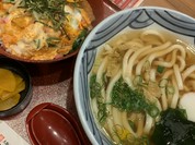 大阪うどん きらく トナリエ大和高田店