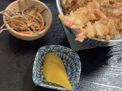 八百音