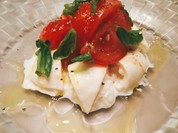 トディーズ シュリンプ