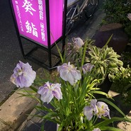 葵鮨 本店