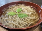 手打ちそば 櫓