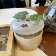 Ristorante　SUGIYAMA