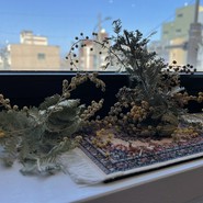 Ristorante　SUGIYAMA