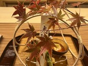 おぎたに
