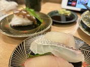 回転寿司 新竹