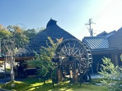 ざいごうどん 本家 わら家