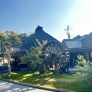 ざいごうどん 本家 わら家
