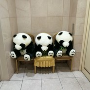 ファミリー中華レストランパンダ