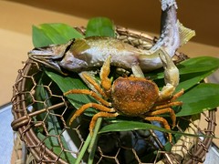 京いろ　おりふし