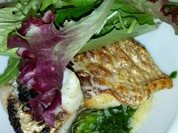 ブラッスリー プリューム