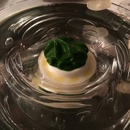 マダム・トキ （Madame Toki）