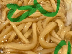 Got this partly dried up udon. Not happy.