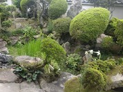 レストラン土手