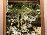 店内テーブル席より