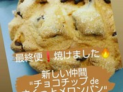 チョコチップdeさくっとメロンパン