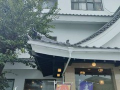 松寿司 本店
