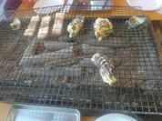 カキ小屋ベイサイド