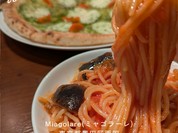 Miagolare