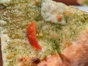 Miagolare