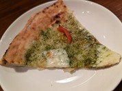 Miagolare