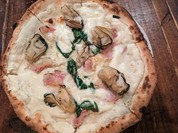 TRATTORIA-PIZZERIA polipo