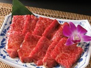 浜松焼肉専科ENIKU