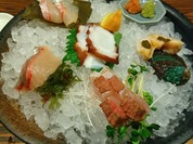 多酒多采 かげとら