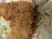 愛知屋