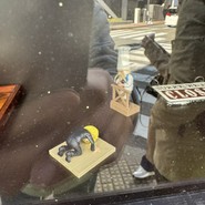 メンドコロ キナリ