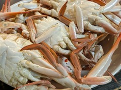 ムラサキガザミ