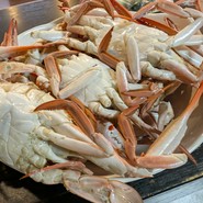 ムラサキガザミ