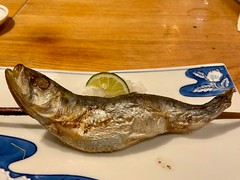 夜ノ焼魚 ちょーちょむすび