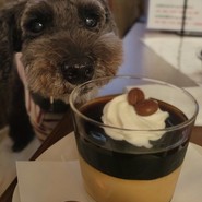 コーヒーゼリー