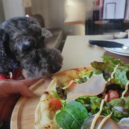 わん!リトルガーデン