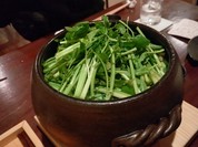Washoku 波紋