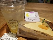 ハチカフェ 阿佐ヶ谷店