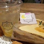 ハチカフェ 阿佐ヶ谷店