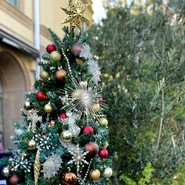 BISTRO　FAVORI（ビストロ　ファヴォリ）　代官山