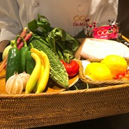 オッジ　ダルマット　西麻布店